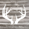 Antler Art Ii Poster Print by Tandi Venter - Item # VARPDXPOD60443