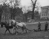 Plowing Boston Common For The Victory Garden Program During World War 2. March 11 History - Item # VAREVCHISL036EC863
