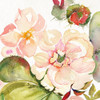 Desert Rose Iii Poster Print by Kristy Rice - Item # VARPDX38789