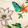 Panneau Botanique Vi Poster Print by Remy Dellal - Item # VARPDX1DE4165