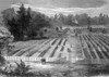 Andersonville Prison In Georgia Where 12 History - Item # VAREVCH4DCIWAEC003