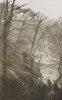 Theodore Roosevelt Leading Others On A Hike In A Wooded Area. Location Is Possibly Rock Creek Park In Washington History - Item # VAREVCHISL044EC720