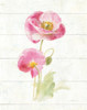 June Blooms Iv Poster Print by Danhui Nai - Item # VARPDX37130