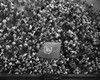 United Nations Flag Waves Over Crowd Waiting To Hear Dr. Syngman Rhee Speak To The United Nations Council In Taegu History - Item # VAREVCHISL038EC241