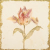 Vintage Zoomer Schoon Tulip Crop Poster Print by Cheri Blum - Item # VARPDX24595