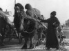 Harriet Chalmers Adams With Camel Pulling Cart History - Item # VAREVCHISL041EC198