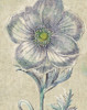Belle Fleur Ii Crop Linen Poster Print by Sue Schlabach - Item # VARPDX23659