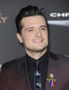 Josh Hutcherson At Arrivals For The Hunger Games Mockingjay _ Part 2, Microsoft Theater, Los Angeles, Ca November 16, 2015. Photo By Elizabeth GoodenoughEverett Collection Celebrity - Item # VAREVC1516N05UH032