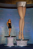 Mariah Carey At The Press Conference For 2006 Gillette Venus Celebrity Legs Of A Goddess Unveiling, Radio City Music Hall, New York, Ny, May 30, 2006. Photo By George TaylorEverett Collection Celebrity - Item # VAREVC0630MYBUG010