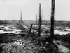 World War 1. No Man'S Land - Once A Forest In 'Flanders'S Fields' After Four Years As A Battleground In World War 1. Photo Ca. 1919 By F.J. Lamphere. History - Item # VAREVCHISL034EC851