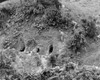 Two U.S. Soldiers To Throw Grenades Into Japanese Held Caves On Okinawa Island History - Item # VAREVCHISL036EC767