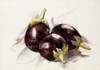 Eggplants Fine Art