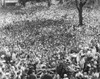 Wendell Willkie History - Item # VAREVCCSUB002CS368