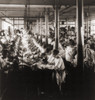 Women Working At Sewing Machines In Factory In Leicester History - Item # VAREVCHISL021EC138