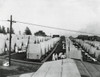 Spanish Flu Epidemic 1918-1919 In America. Special Outside Tent Hospital For The Influenza Epidemic On Emery Hill History - Item # VAREVCHISL043EC682