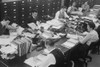 Six Men And Two Women At Work In A U.S. Government Office. They Share A Long Table History - Item # VAREVCHISL038EC532