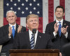 President Donald Trump Delivers His First Address To A Joint Session Of Congress History - Item # VAREVCHISL046EC272
