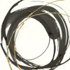 Gilded Enso Iv Poster Print by Chris Paschke - Item # VARPDX34704