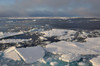 Arctic Ocean Ice At The Height Of The Summer Melt. Sept. 9 2009. History - Item # VAREVCHISL030EC097