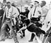 Police Dog Attacking An African American Man History - Item # VAREVCHISL006EC219