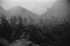 U.S. Soldiers Train In Anti-Guerilla Tactics In The Vietnam Jungle History - Item # VAREVCHISL040EC434