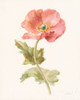 Garden Poppy Poster Print by Danhui Nai - Item # VARPDX30351