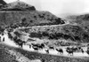 A Camel Caravan On The Khyber Pass On The Northwest Indian Frontier. Ca. 1930S. Csu ArchivesEverett Collection History - Item # VAREVCCSUA000CS838