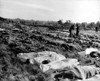 Hundreds Of Dead Soldiers In Stretchers Covered With A Blankets After D-Day. Killed During Normandy Landings History - Item # VAREVCHISL037EC211