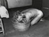 Coal Miner Milong Bond Taking A Bath From A Metal Wash Basin. His Home Probably Lacks An Indoor Bathroom. Wyoming County History - Item # VAREVCHISL038EC410