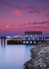 Moon Over Sidney Fish Market Poster Print by Shawn/Corinne Severn - Item # VARPDXS1593D