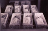 Newborns In The A Nursery Of Provident Hospital In Chicago History - Item # VAREVCHISL015EC051