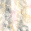 Blush Circles Ii Poster Print by Chris Paschke - Item # VARPDX35262