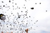 Graduates Toss Their Hats Into The Air At The End Of The Us Naval Academy Commencement Ceremony. May 22 2009. History - Item # VAREVCHISL027EC131