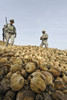 U.S. Army Colonel And His Afghan Interpreter Discover A Pile Of Dried Poppy Plants In Badula Qulp Helmand Province Afghanistan Feb. 12 2010. History - Item # VAREVCHISL025EC006