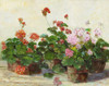 Veranda In Positano Ii Poster Print by Sally Swatland - Item # VARPDX19115