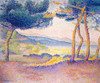 Pines Along The Shore Fine Art - Item # VAREVCHISL044EC788