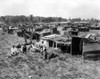 Encampment Of The Bonus Army Marchers In Washington Dc. The Anacostia Flats 'Hoovertown' Was Built From Materials Scavenged From A Nearby Rubbish Dump. The Veterans Built Sanitation Facilities History - Item # VAREVCCSUA001CS734