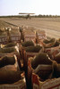 Used Bags Of Best Chemical Bags Next To A Runway Where A Bi-Plane Is About To Take Off To Spread The Chemicals Over Crops Near Fresno California. Ca. 1973-75. History - Item # VAREVCHISL031EC257