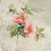Provence Rose I Red And Neutral Poster Print by Cheri Blum - Item # VARPDX24462