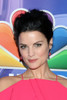 Jaimie Alexander At Arrivals For Tca Winter Press Tour Nbc, The Langham Huntington, Pasadena, Ca January 18, 2017. Photo By Priscilla GrantEverett Collection Celebrity - Item # VAREVC1718J05B5001