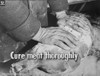 Health And Food Safety History - Item # VAREVCHCDLCGCEC118