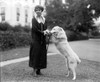 First Lady Mrs. Grace Coolidge With Her Dog History - Item # VAREVCHCDLCGAEC045