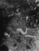 Dead Filippino Child Laying In Mud Of Creek Killed By Japanese On April 9 History - Item # VAREVCHISL036EC721