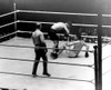 Jack Dempsey Dropped Tunney For The Second Time Late In Their Fight For The Championship At Soldier Field History - Item # VAREVCHBDJADECL002