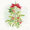 Winter Blooms Iv Poster Print by Sue Schlabach - Item # VARPDX39606