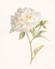 Garden Peony Poster Print by Danhui Nai - Item # VARPDX30352