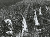 Four African American Women Picking Cotton In Tallulah History - Item # VAREVCHISL040EC868