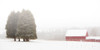 Winter Farm Poster Print by Aledanda - Item # VARPDX38289