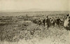 World War 1 Battle Of St. Mihiel. In Fields Near Montsec History - Item # VAREVCHISL044EC005