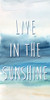Live In The Sunshine Panel A Poster Print by Cynthia Coulter - Item # VARPDXRB12418CCA